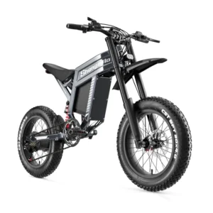 Shengmilo S900